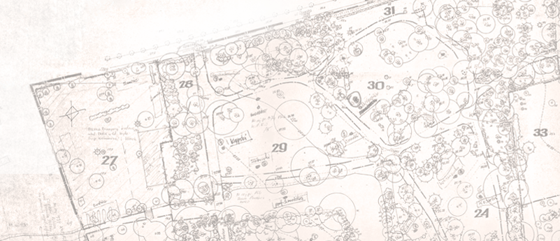 mapa- plan Parku Oliwskiego z zaznaczonymi punktami umiejscowienia rzeźb